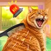 Brush Cat Challenge